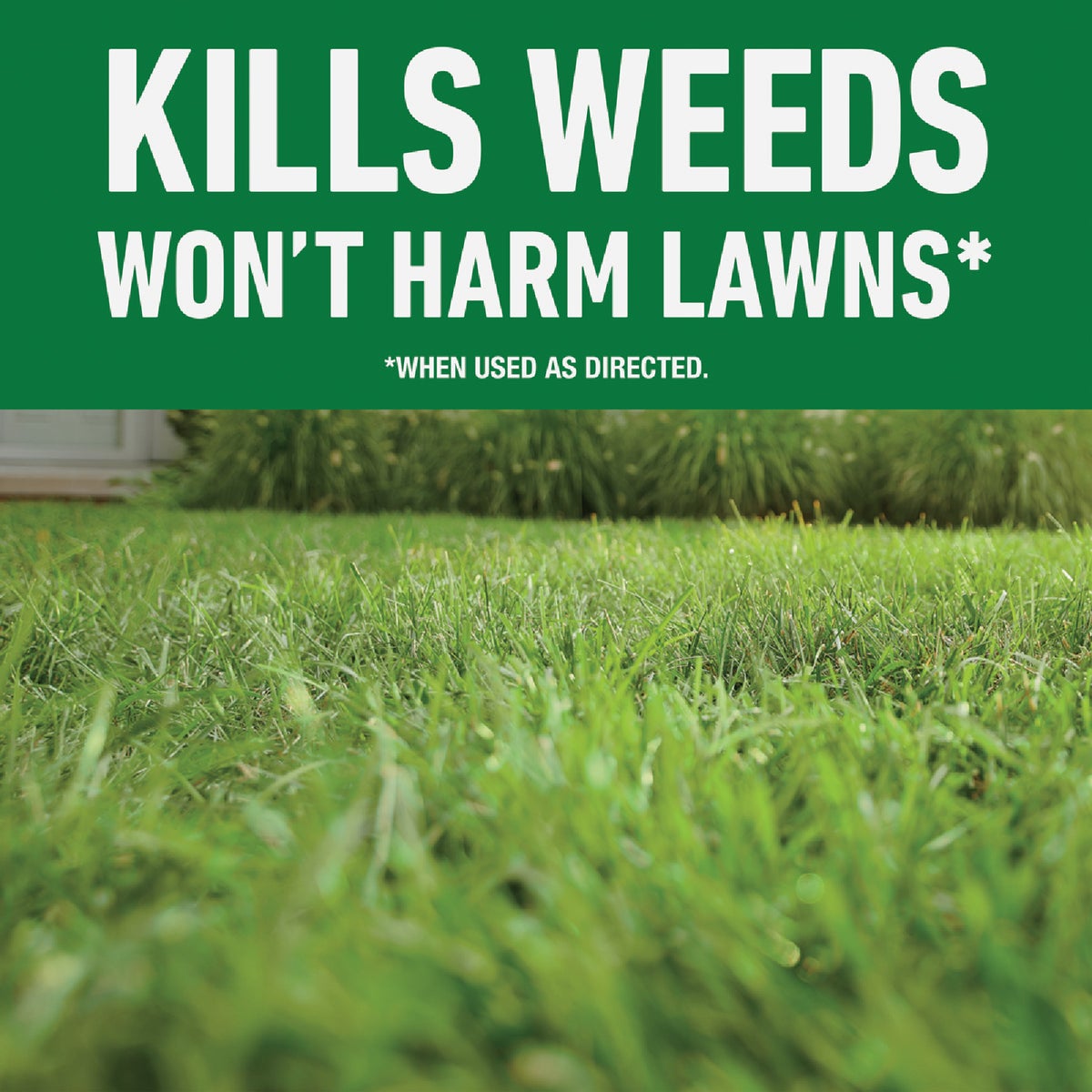 Roundup For Lawns 32 Oz. Concentrate Northern Formula Weed Killer Image 2