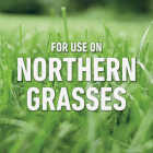 Roundup For Lawns 32 Oz. Northern Formula Weed Killer Image 4