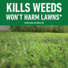 Roundup For Lawns 32 Oz. Northern Formula Weed Killer Image 2