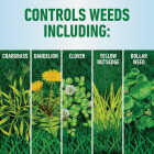 Roundup For Lawns 32 Oz. Northern Formula Weed Killer Image 5