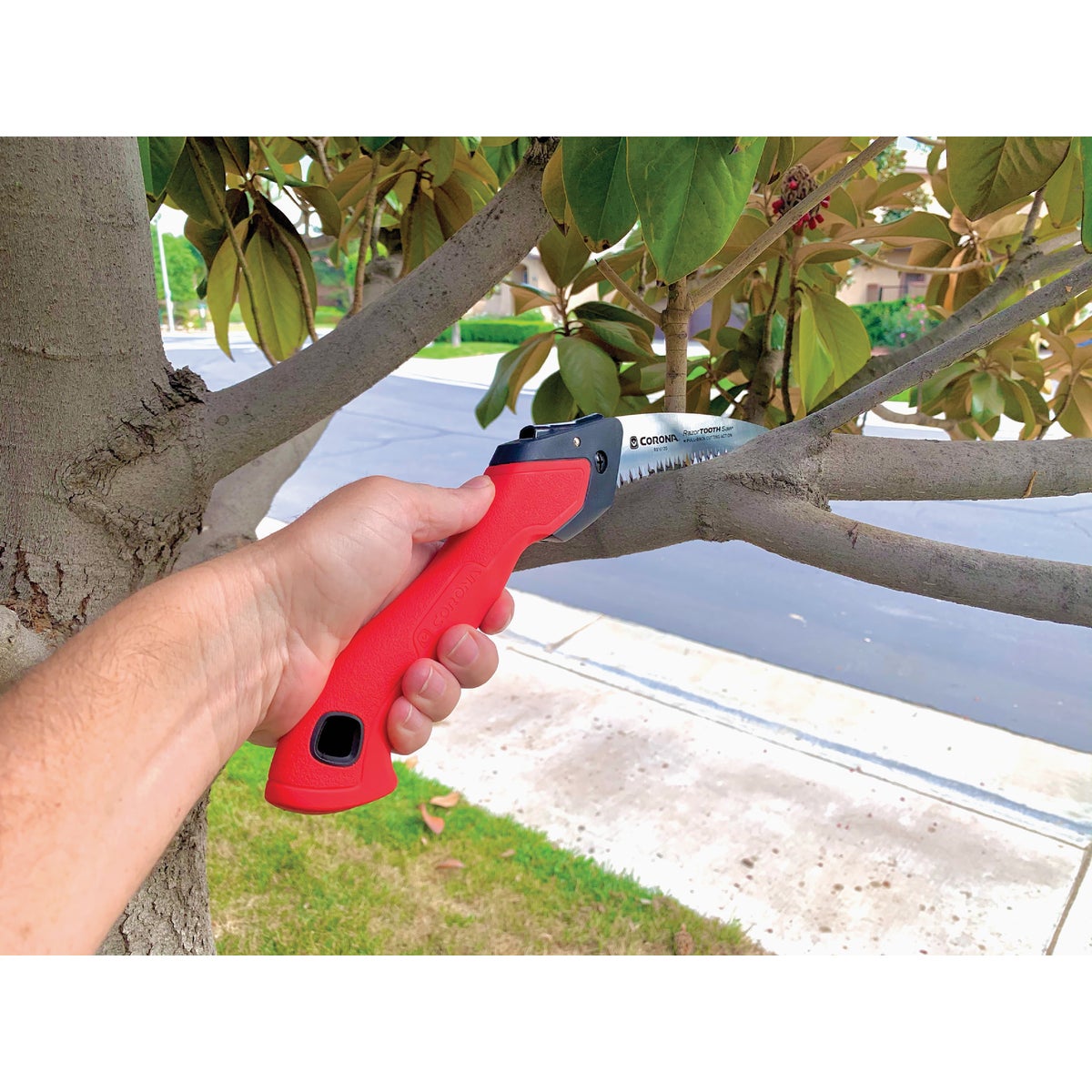 Corona RazorTooth 7 In. Folding Pruning Saw Image 2