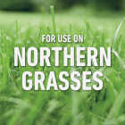 Roundup For Lawns 1 Gal. Ready To Use Wand Sprayer Northern Formula Weed Killer Image 4