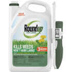 Roundup For Lawns 1 Gal. Ready To Use Wand Sprayer Northern Formula Weed Killer Image 1