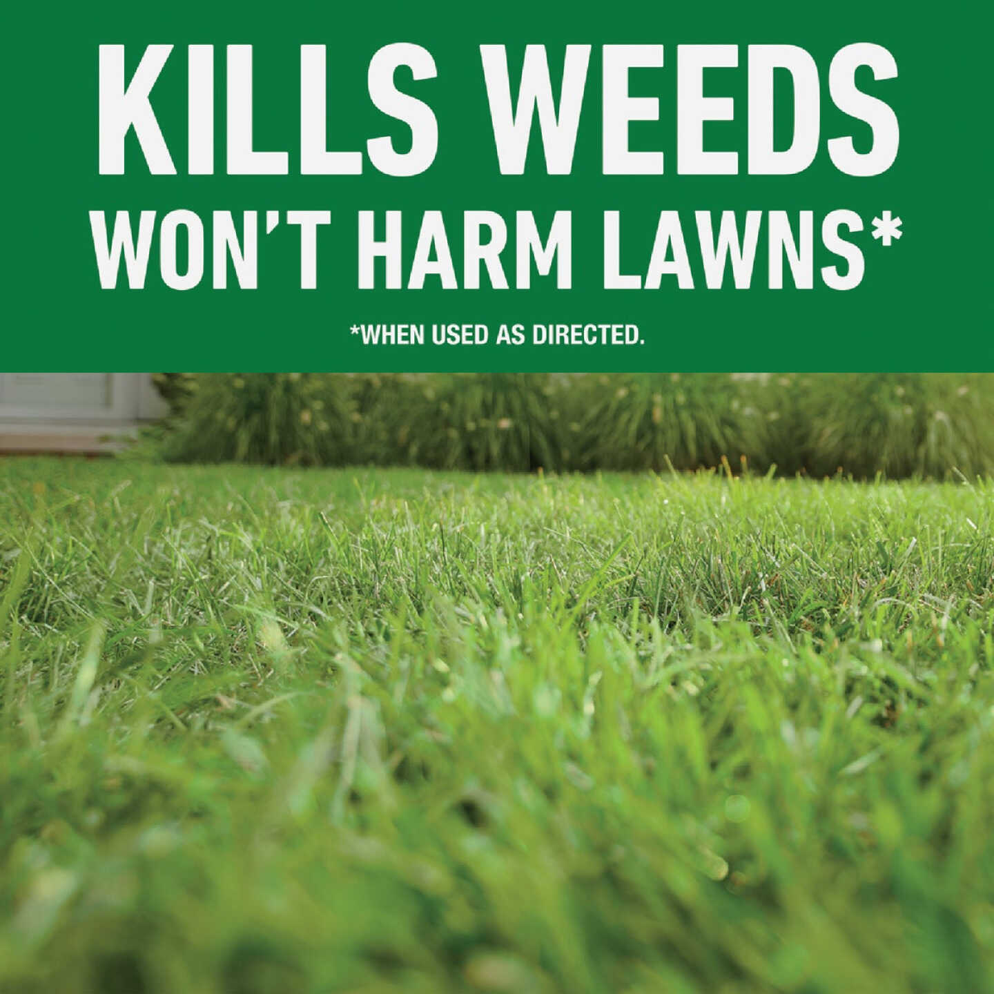 Roundup For Lawns 1.25 Gal. Refill Northern Formula Weed Killer Image 2