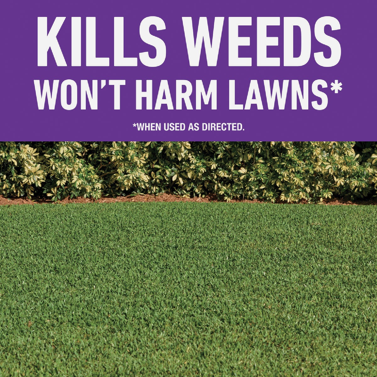 Roundup For Lawns 32 Oz. Concentrate Southern Formula Weed Killer Image 2