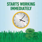 Roundup For Lawns 32 Oz. Concentrate Southern Formula Weed Killer Image 7