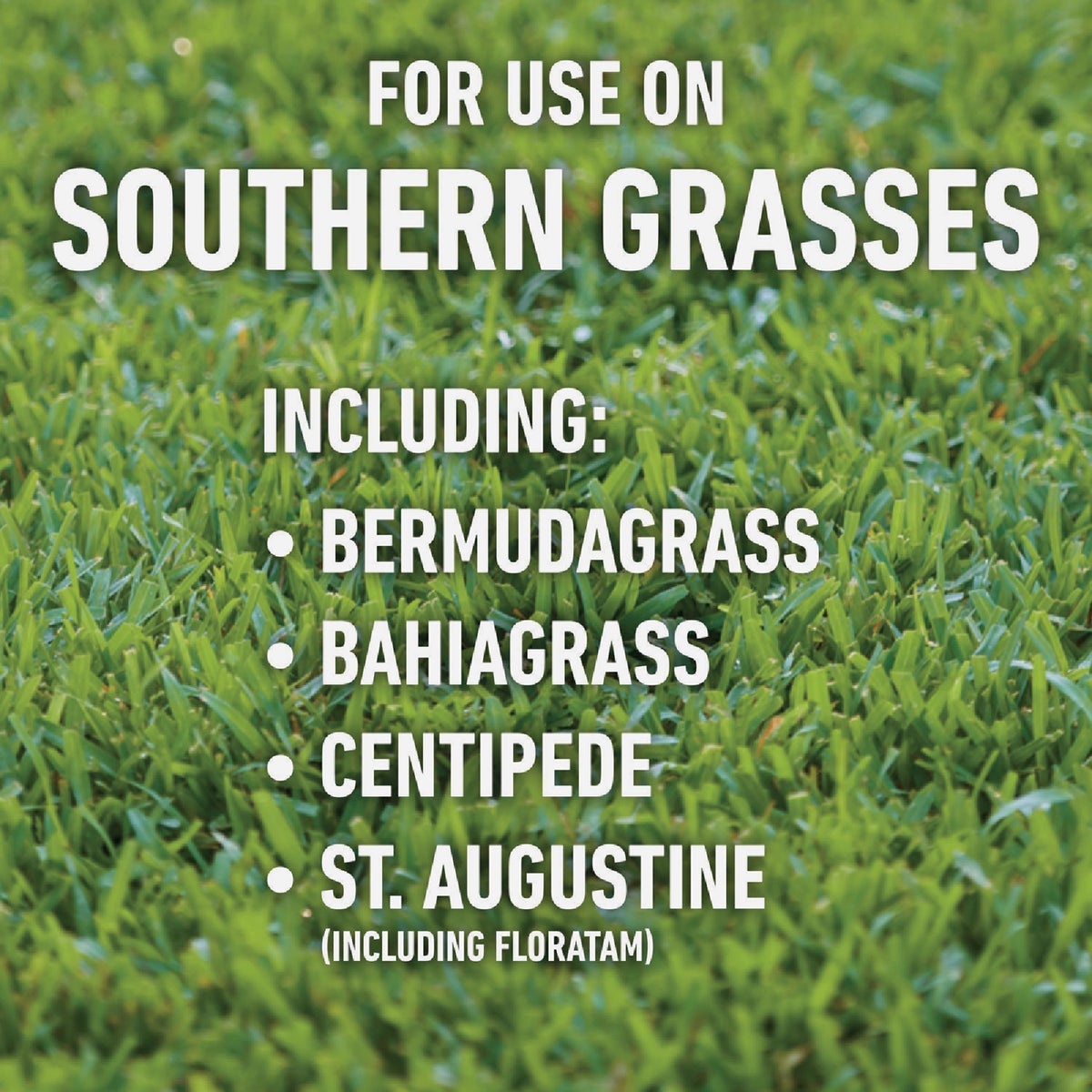 Roundup For Lawns 32 Oz. Concentrate Southern Formula Weed Killer Image 3