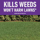 Roundup For Lawns 32 Oz. Spray Southern Formula Weed Killer Image 2