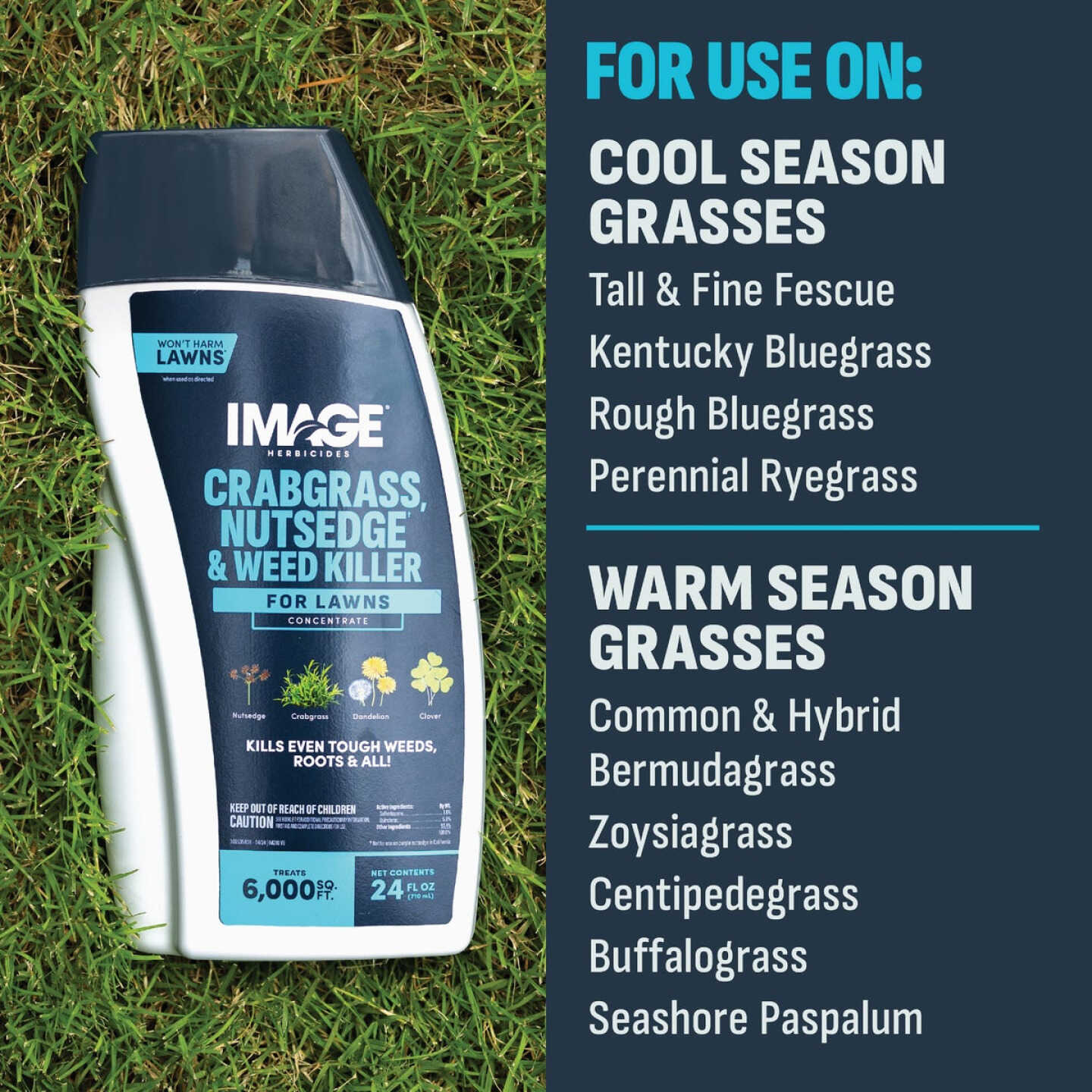 Image 24 Oz. Concentrate Crabgrass Nutsedge Lawn Weed Killer Image 6