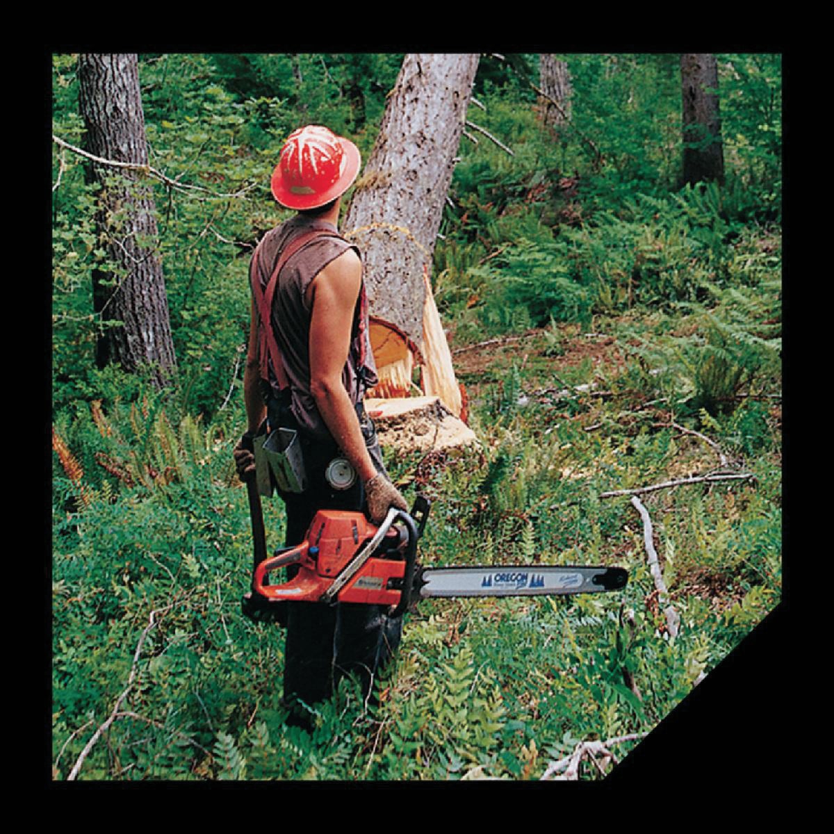 Oregon 5-1/2 In. Plastic Felling Wedge Image 3
