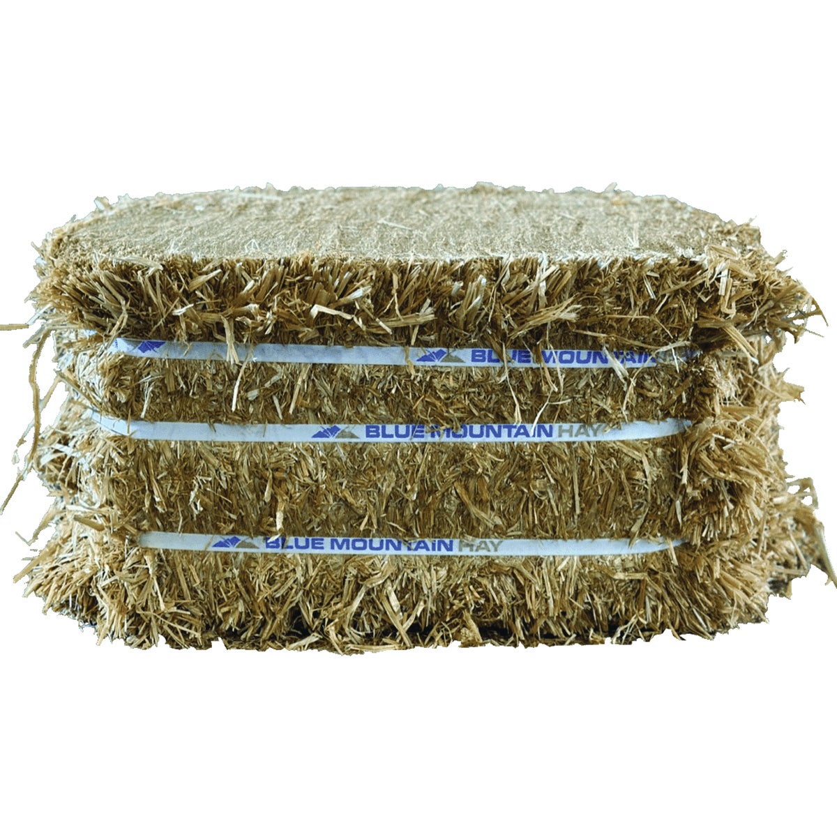 Blue Mountain Hay 50 Lb. Compressed Wheat Straw Bale