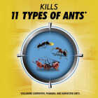 Combat Max 2-in-1 Ant Bait Station (4-Pack) Image 3