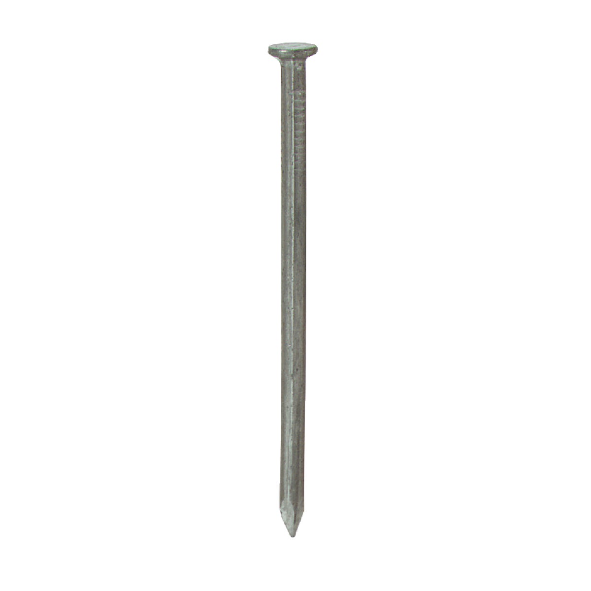 Do it Best 2-1/2 In. x 10.25 ga x 8d Bright Common Nails (3030-Count, 30 Lb.) Image 1