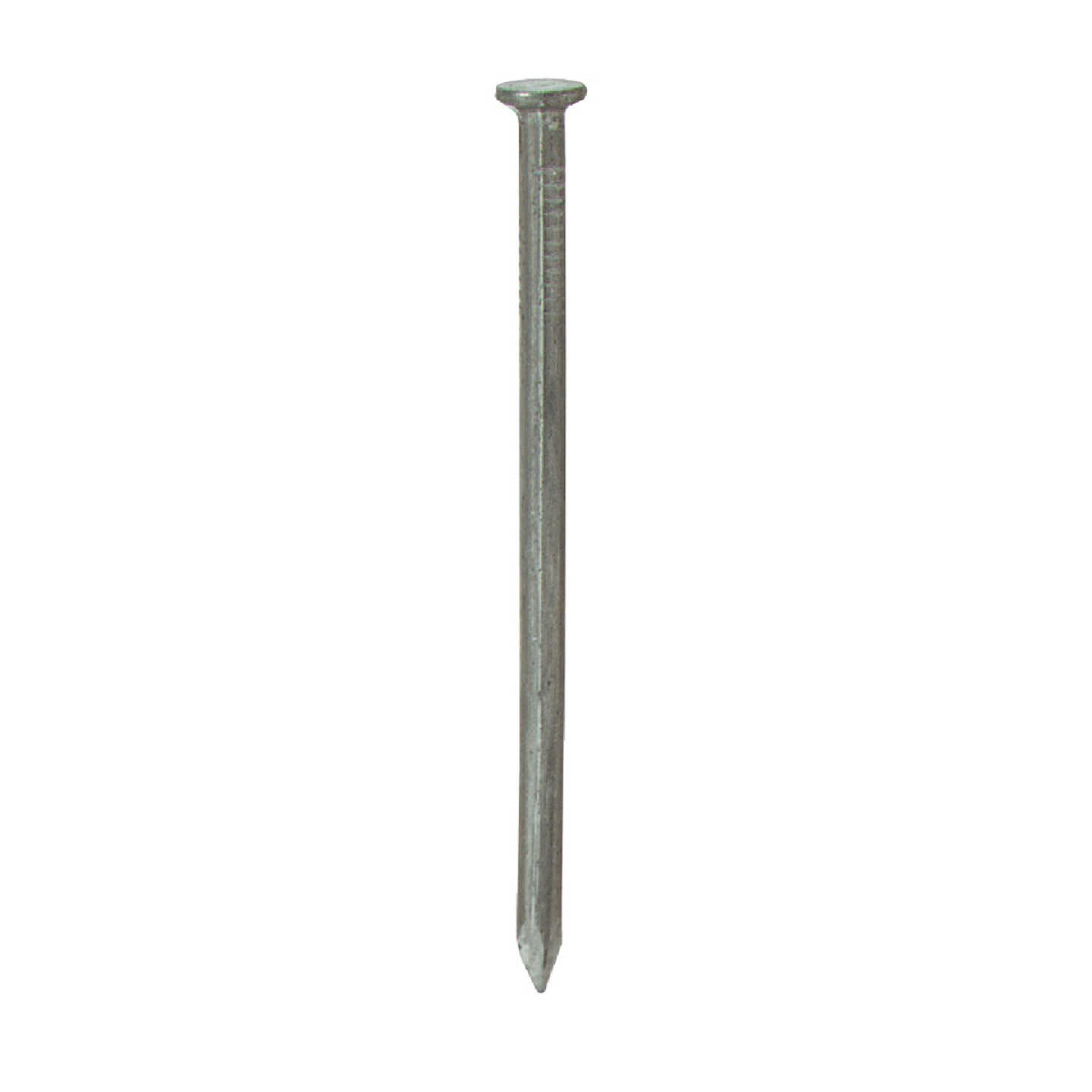 Do it Best 2-1/2 In. x 10.25 ga x 8d Bright Common Nails (3030-Count, 30 Lb.) Image 1