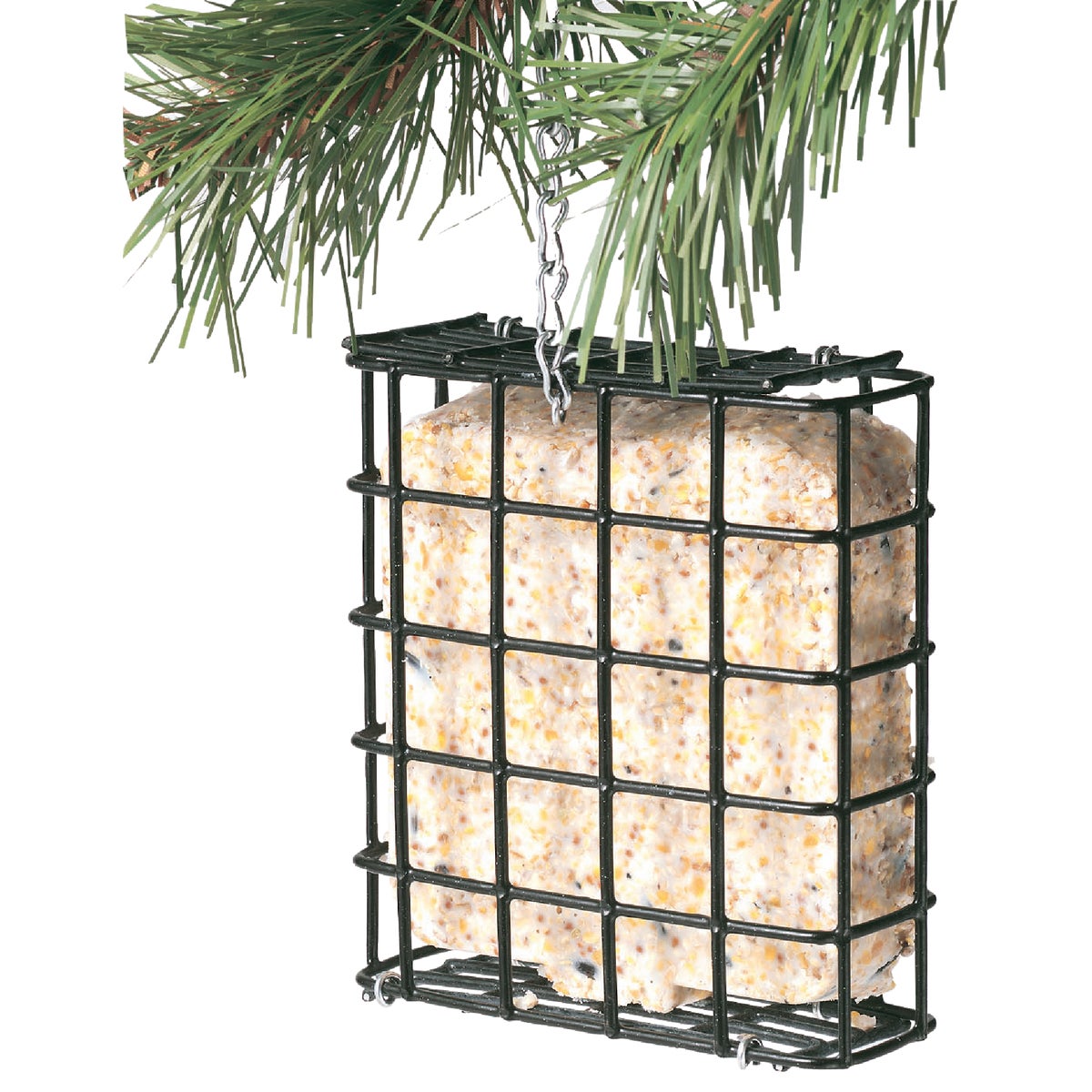 C&S 11.75 Oz. High Energy Treat Suet Image 3