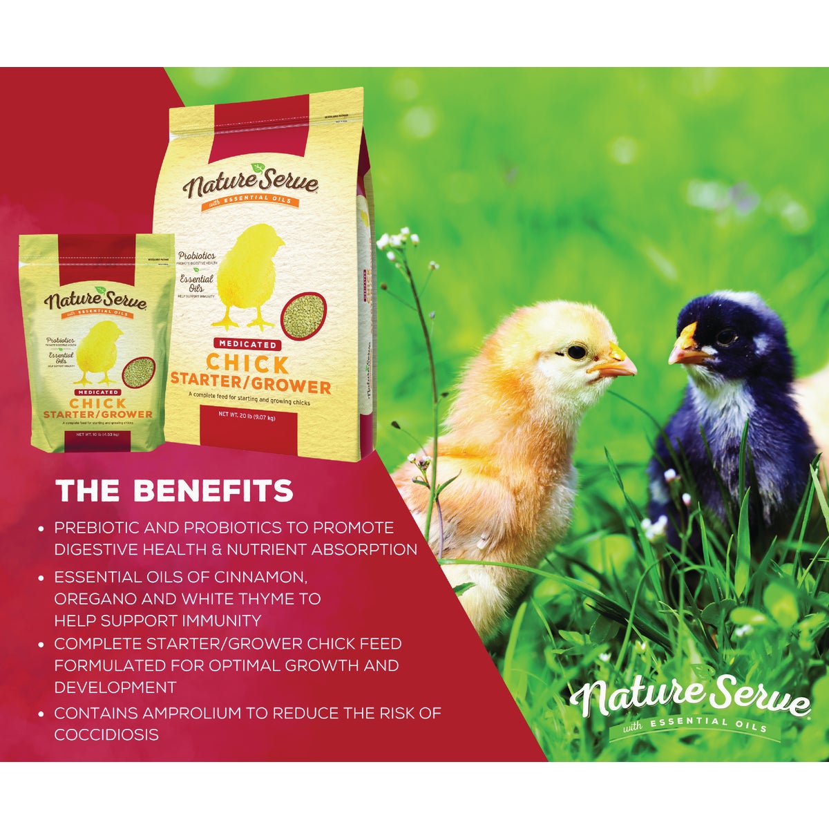 NatureServe 10 Lb. Medicated Chick Starter/Grower Image 2
