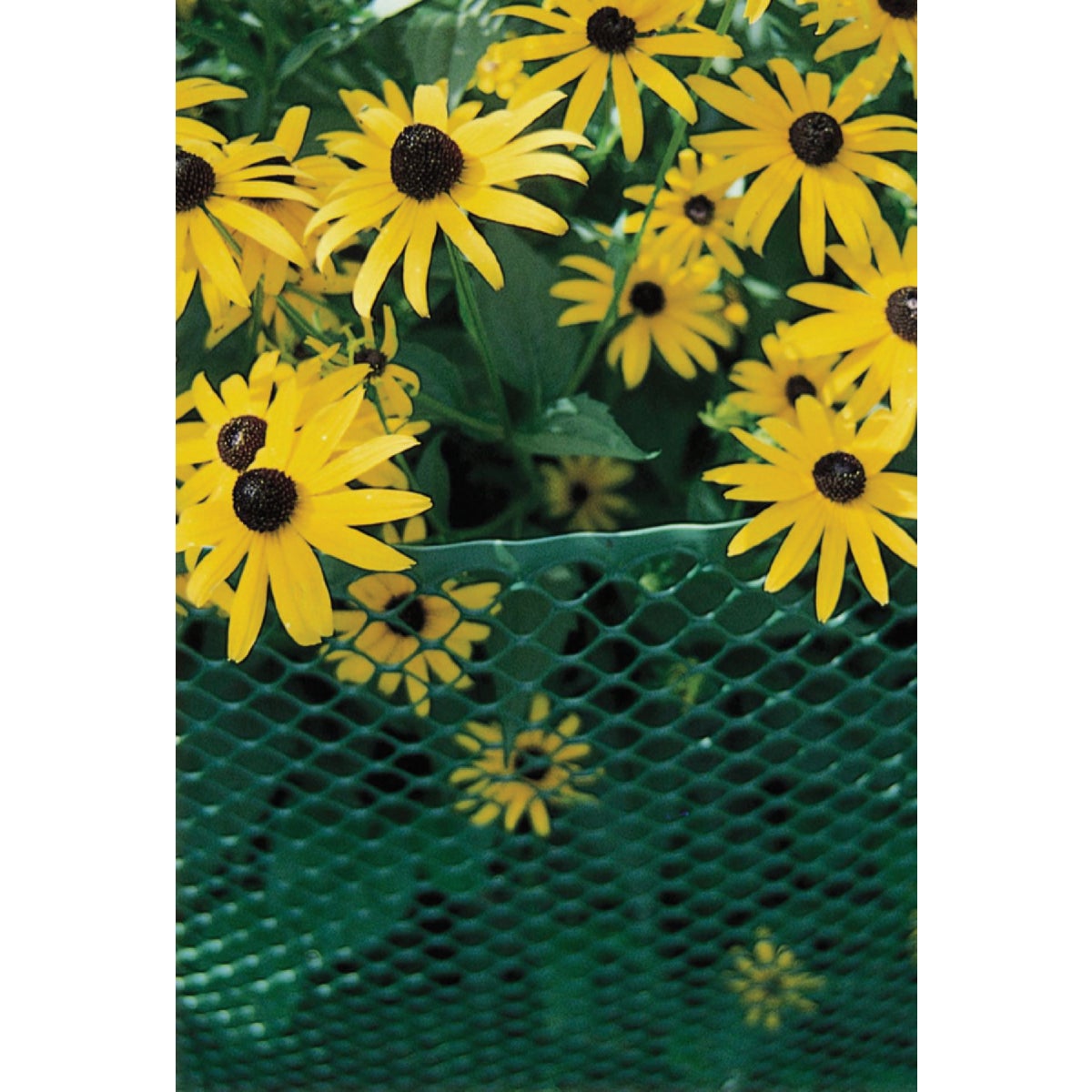 Tenax 3/4 In. x 2 Ft. H. x 25 Ft. L. Hexagonal Plastic Poultry Netting Fence, Green Image 3