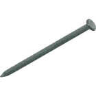 Do it Best 1-1/2 In. x 12.5 ga x 4d Hot Galvanized Common Nails (14,700-Count, 50 Lb.) Image 1