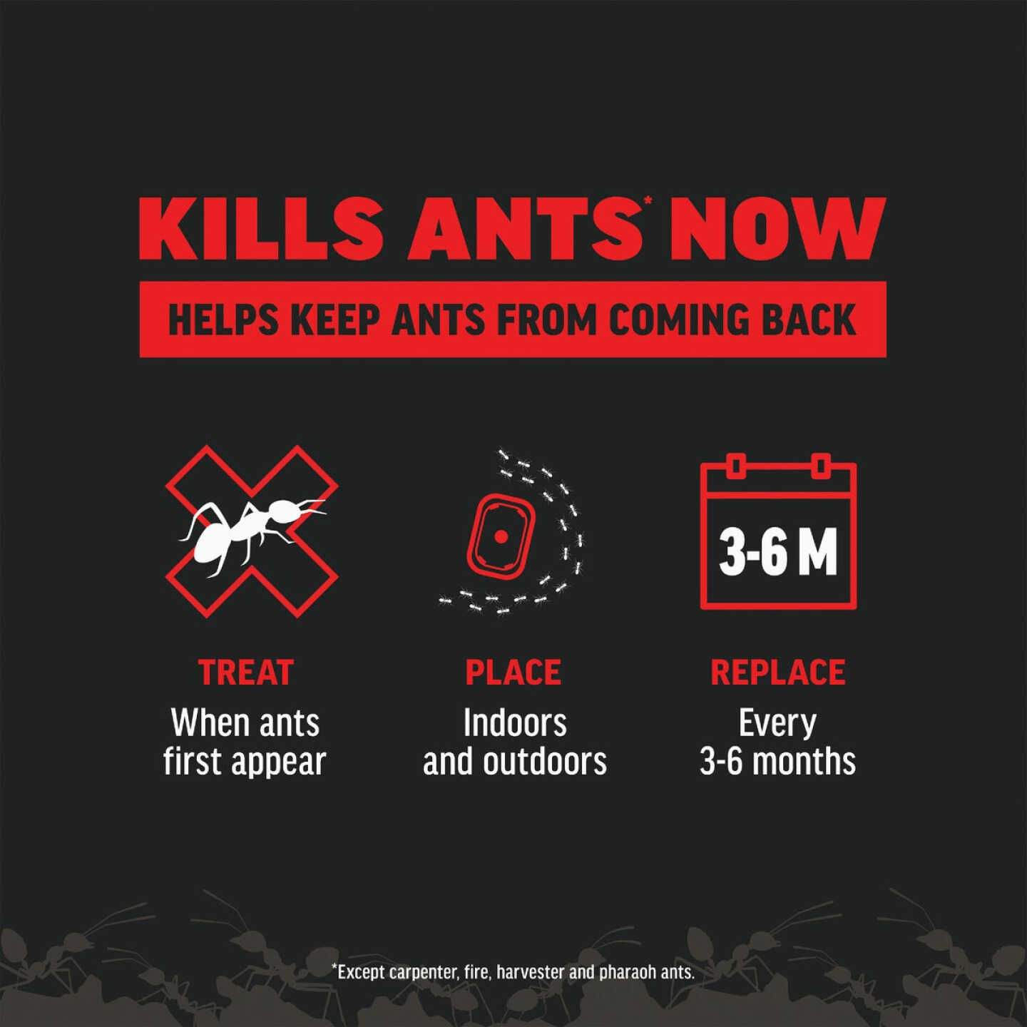 Amdro 1.28 Oz. Solid Ant Bait Stake (8-Pack) Image 5