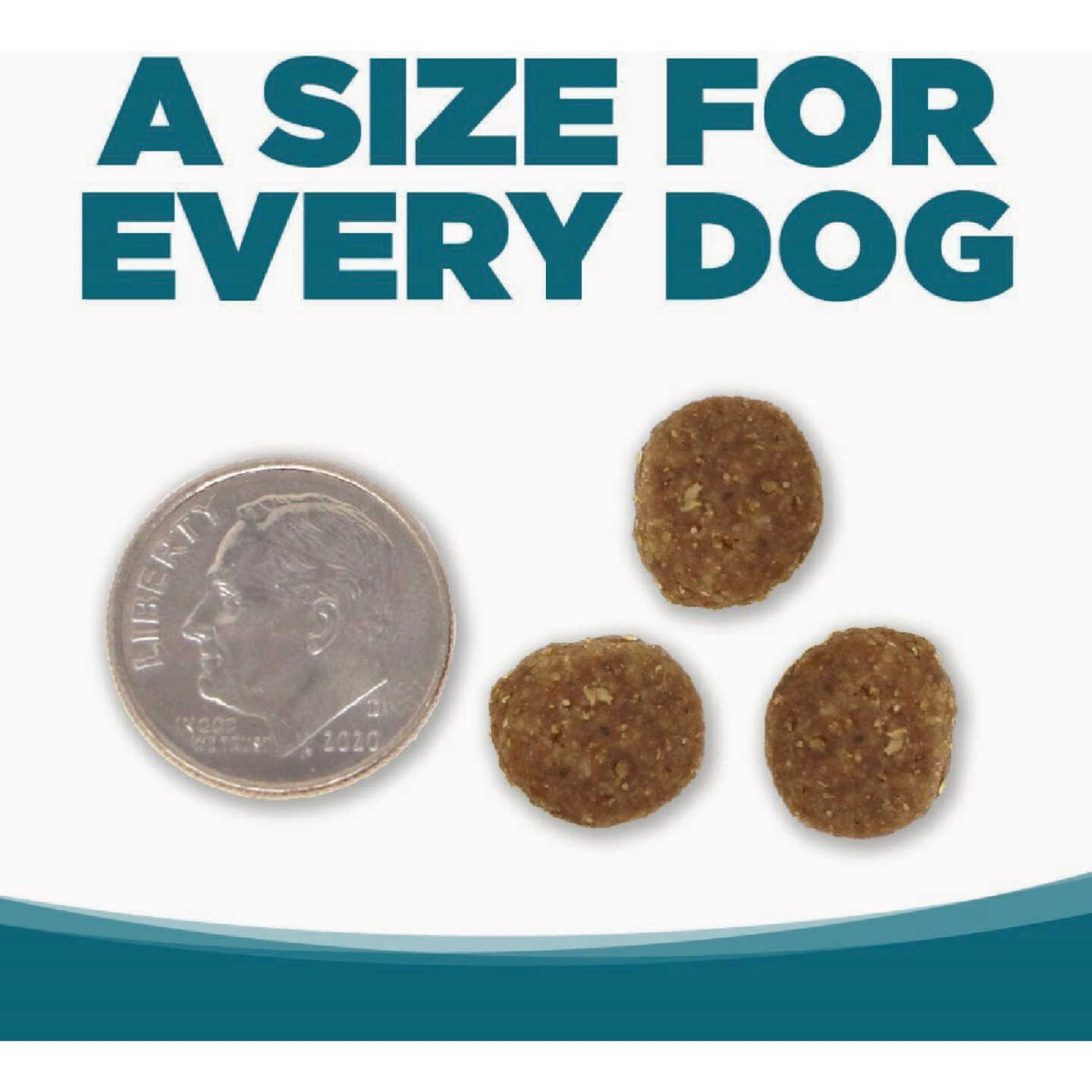 NutriSource 26 Lb. Beef & Rice Recipe Dog Food Image 4
