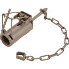 Duke Traps Dog Proof Raccoon Trap Image 1