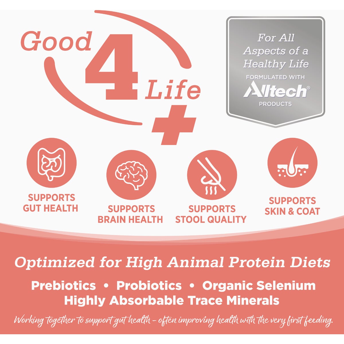 NutriSource 4 Lb. Country Select Recipe Grain Free Cat Food Image 4