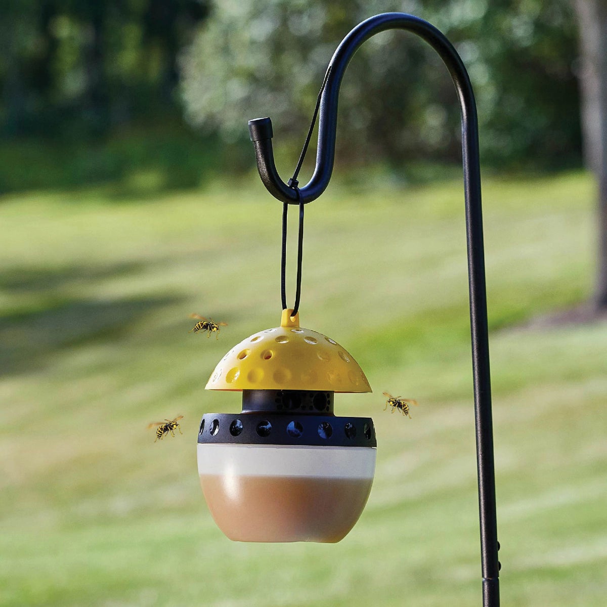 Spectracide Wasp, Hornet, & Yellow Jacket Trap Image 2