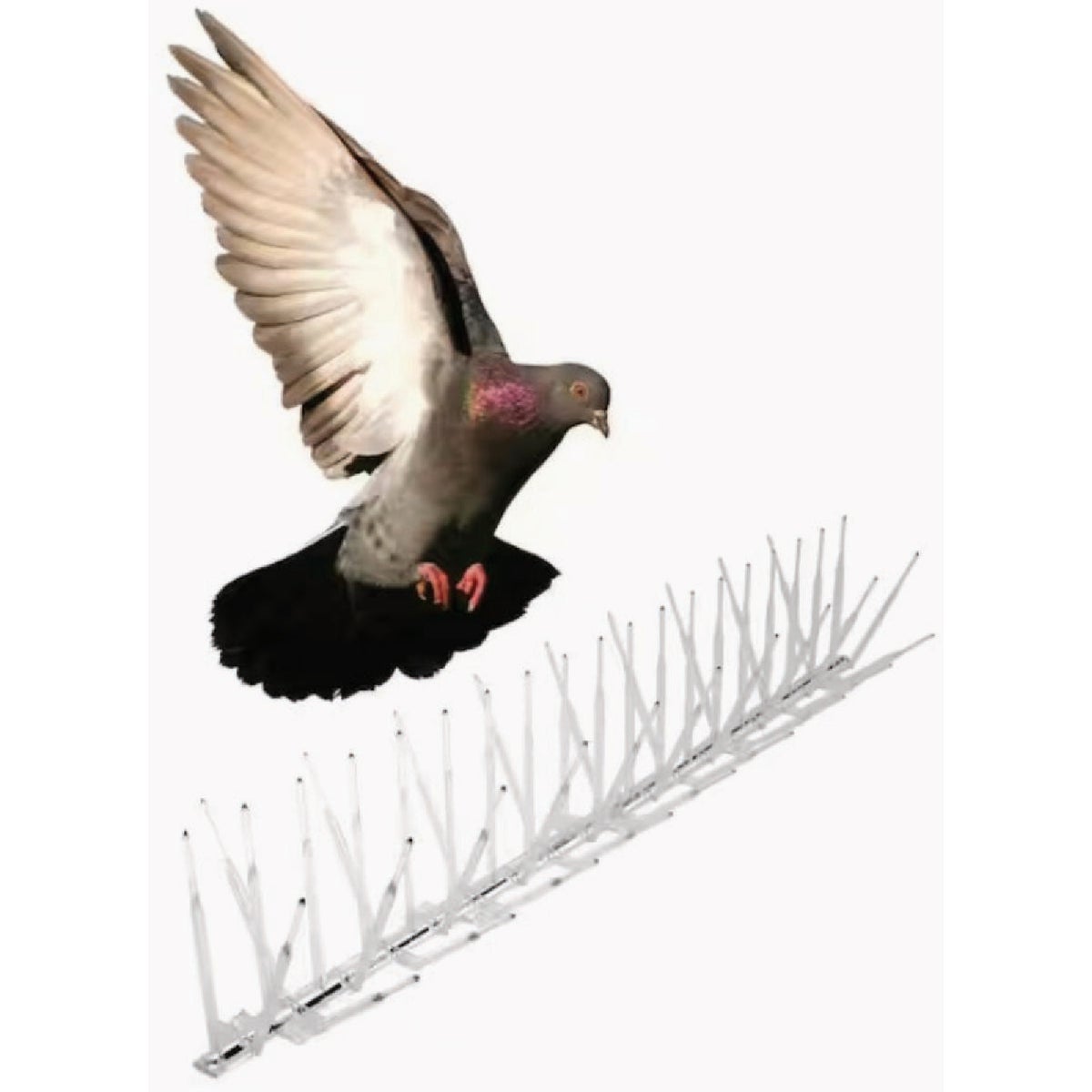 Bird-B-Gone 5 In. x 6 Ft. Plastic Bird Repelling Spikes Image 3