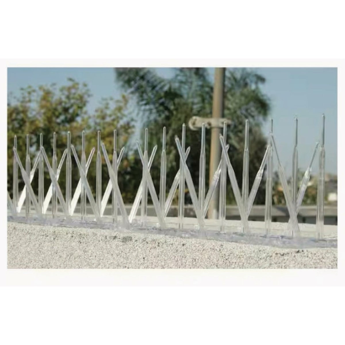 Bird-B-Gone 5 In. x 6 Ft. Plastic Bird Repelling Spikes Image 2