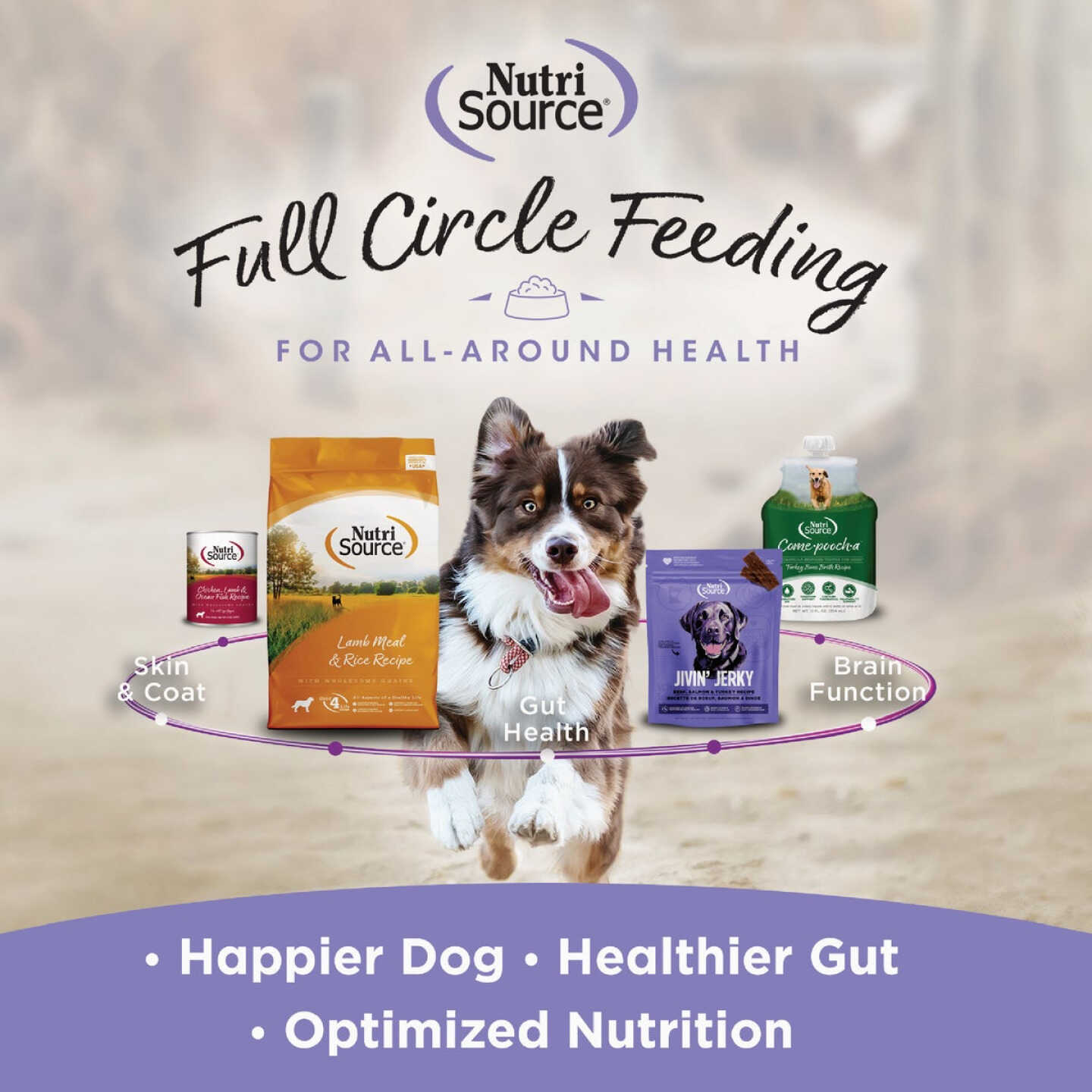 NutriSource Little Bites 6 Oz. Chicken Dog Treat Image 4