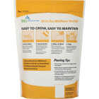 Mountain View Seeds 2 Lb. 700 Sq. Ft. Coverage Bee Pollinator Wildflower Seed Mix Image 2