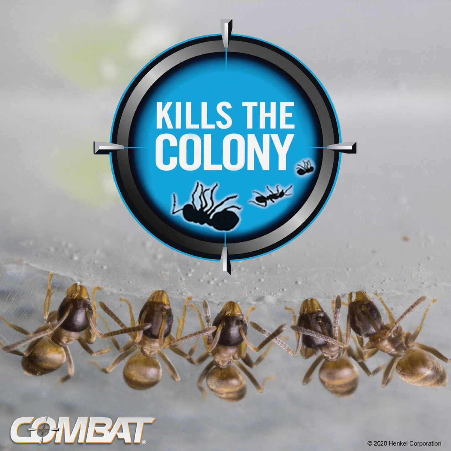 Combat Source Kill Max 0.21 Oz. Solid Ant Bait Station (6-Pack) Image 3