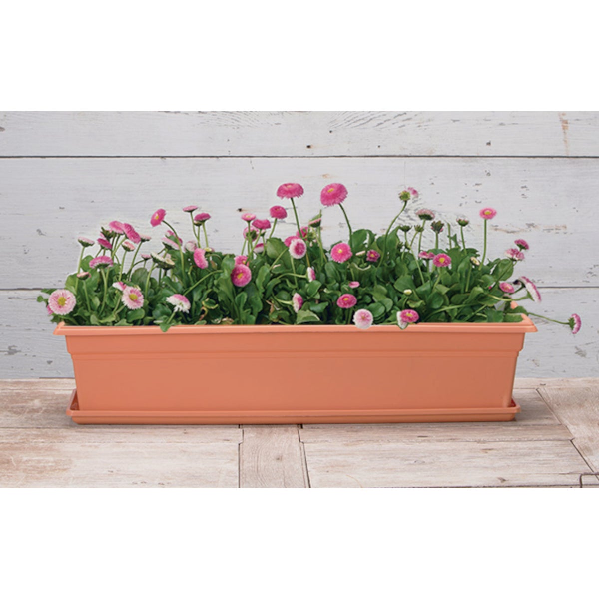 Novelty Countryside 30 In. Terra Plastic Flower Box Tray Image 2
