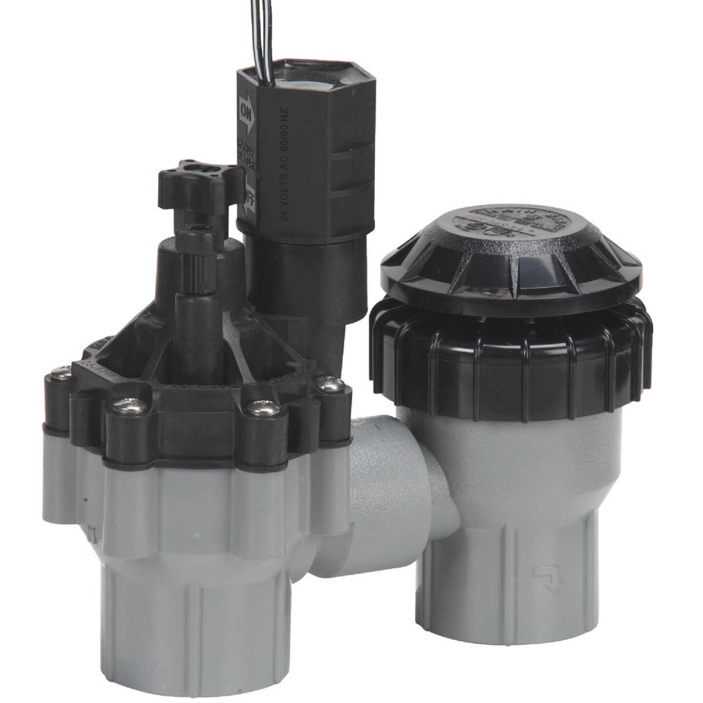 Rain Bird 3/4 In. 150 psi Electric Sprinkler Valve Image 1