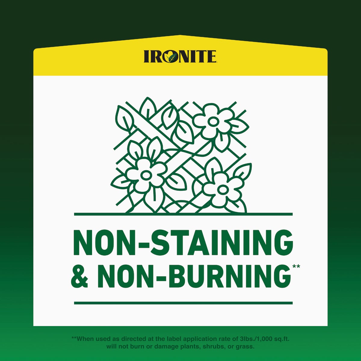Ironite 3 Lb. 1000 Sq. Ft. Coverage Soluble Iron Image 3