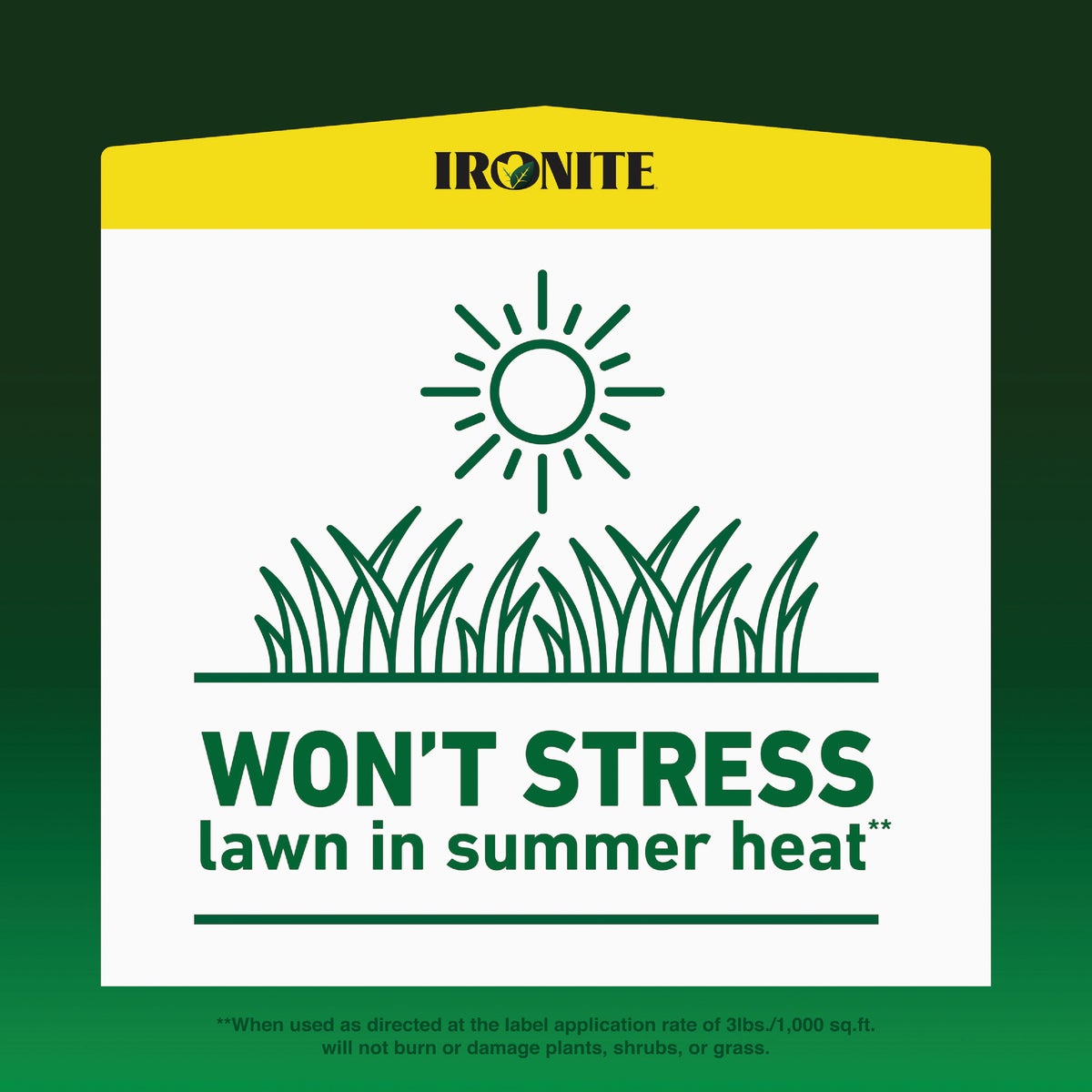 Ironite 15 Lb. 5000 Sq. Ft. Coverage Soluble Iron Image 4