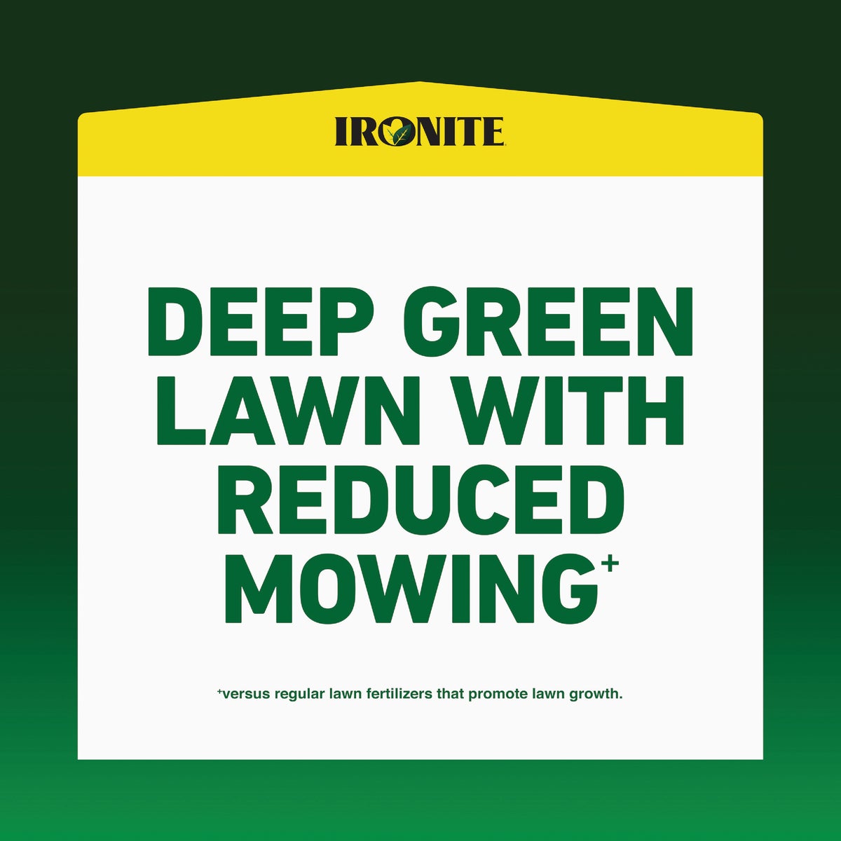 Ironite 30 Lb. 10,000 Sq. Ft. Coverage Soluble Iron Image 2