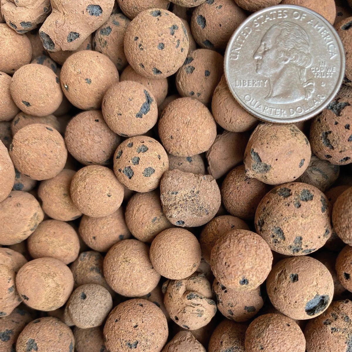Sol Soils 1 Qt. LECA Balls Image 3