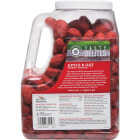 Manna Pro Tasty Delites 4 Lb. Apple Flavored Horse Treat Image 2
