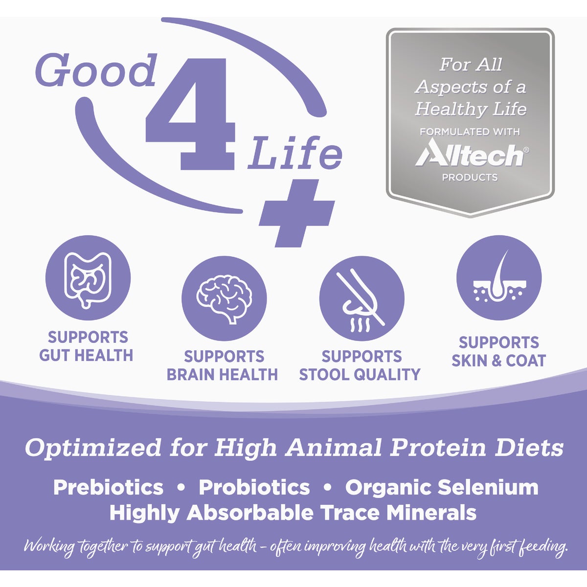 NutriSource 12 Lb. Chicken & Salmon Grain Free Dry Cat & Kitten Food Image 5