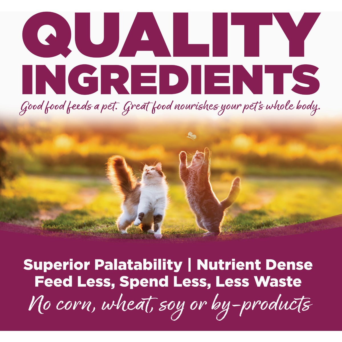 NutriSource 5.5 Oz. Chicken & Rice Recipe Cat Food Image 5