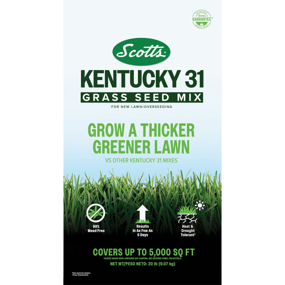Scotts 20 Lb. Kentucky 31 Grass Seed Mix