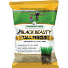 Jonathan Green Black Beauty 3 Lb. Tall Fescue Original Elite Blend Grass Seed Image 1