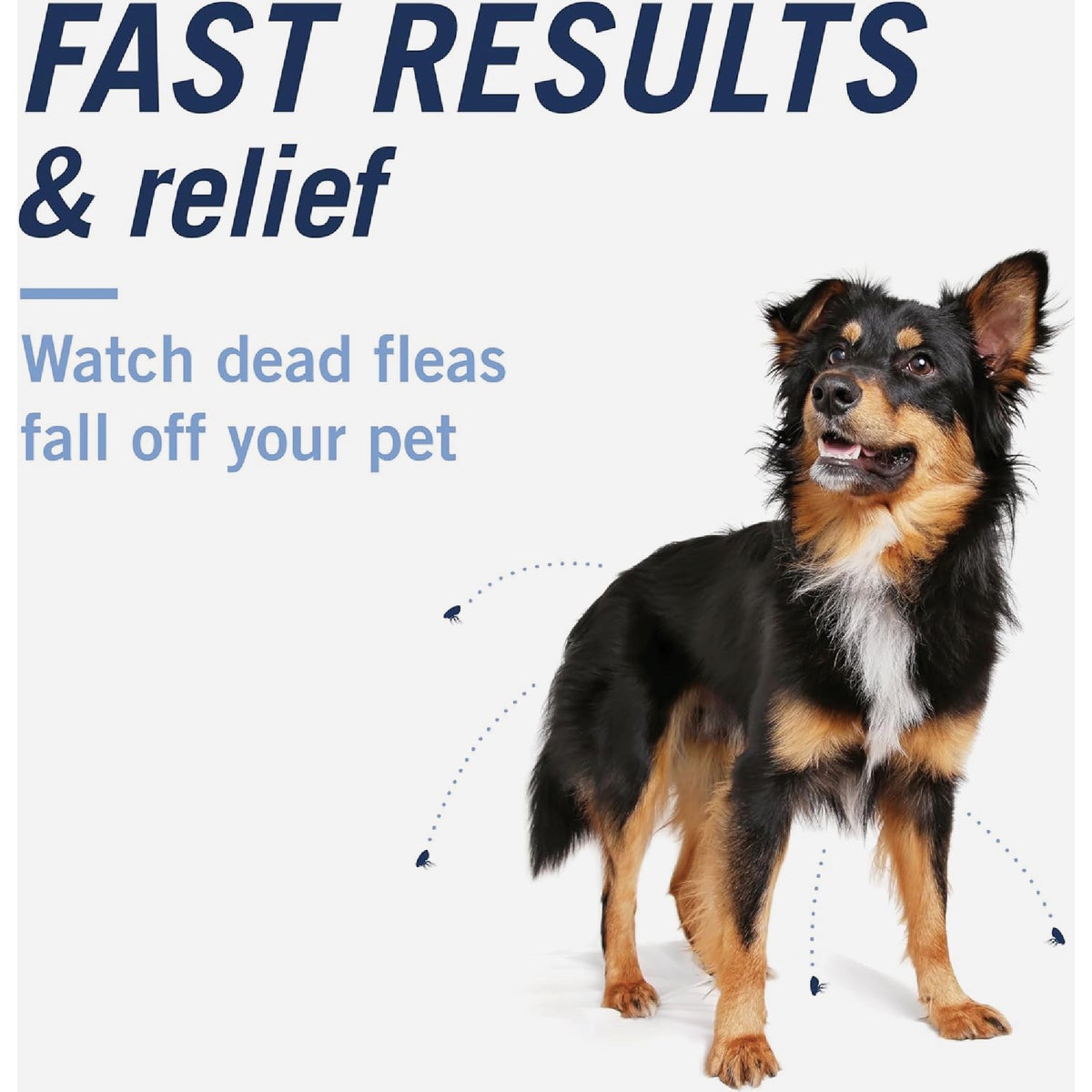 PetArmor CapAction 2 to 25 Lb. Dog Flea Tabs (6-Pack) Image 3