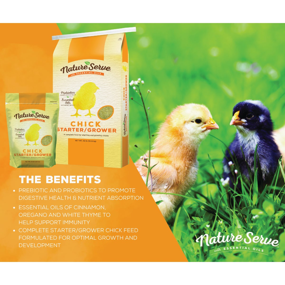 NatureServe 40 Lb. Chick Starter/Grower Image 2