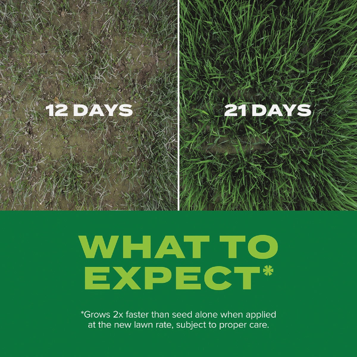Scotts Turf Builder Rapid Grass 16 Lb. 8000 Sq. Ft. Sun & Shade Mix Grass Seed & Fertilizer Combination Image 4