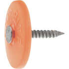 Do it Best 1-1/2 In. 12 ga Electrogalvanized Cap Nails (2000-Count, 8 Lb.) Image 1