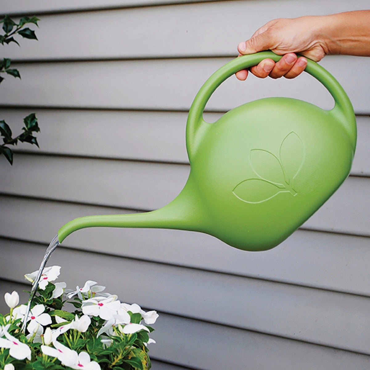 Novelty Root & Vessel 1/2 Gal. Green Deluxe Watering Can Image 2