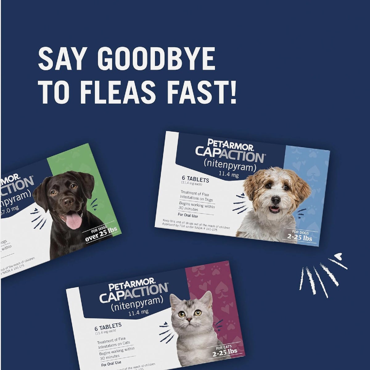 PetArmor CapAction Over 25 Lb. Dog Flea Tabs (6-Pack) Image 5