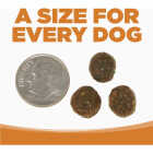 NutriSource 26 Lb. Lamb Meal & Peas Recipe Grain Free Dog Food Image 4